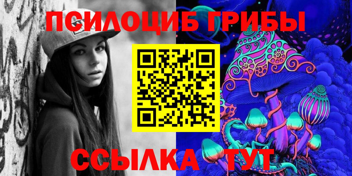 Галлюциногенные грибы Psilocybe Углич
