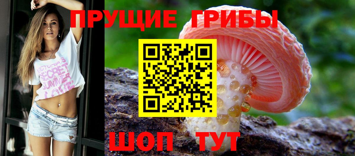 Углич  Галлюциногенные грибы прущие грибы  дарнет шоп  Вход с VPN 